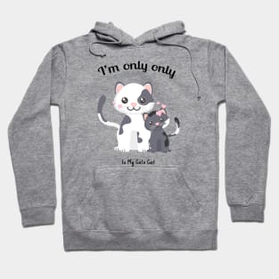 I'm only talking to my cat gift for cat lover Hoodie